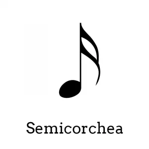 Semicorchea