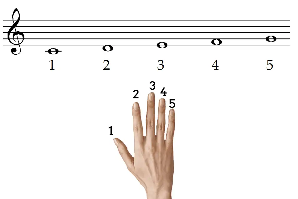 Notas del piano completas 21 Dedos de la mano derecha en el piano