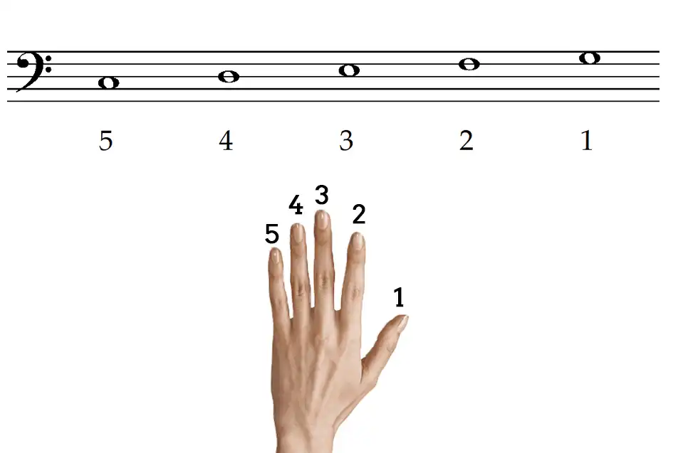 Notas del piano completas 25 Dedos de la mano izquierda en el piano
